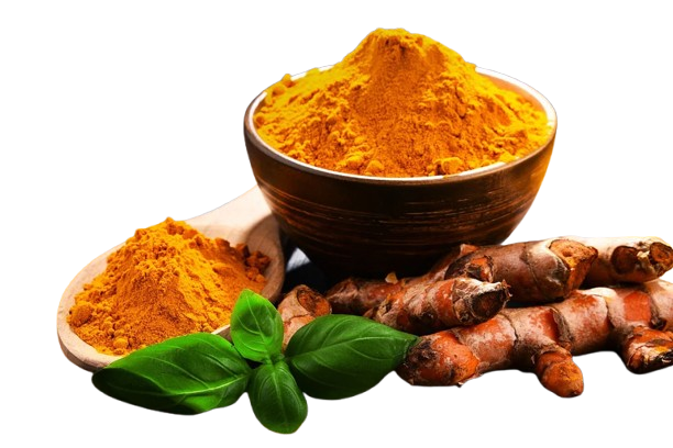Turmeric Extract