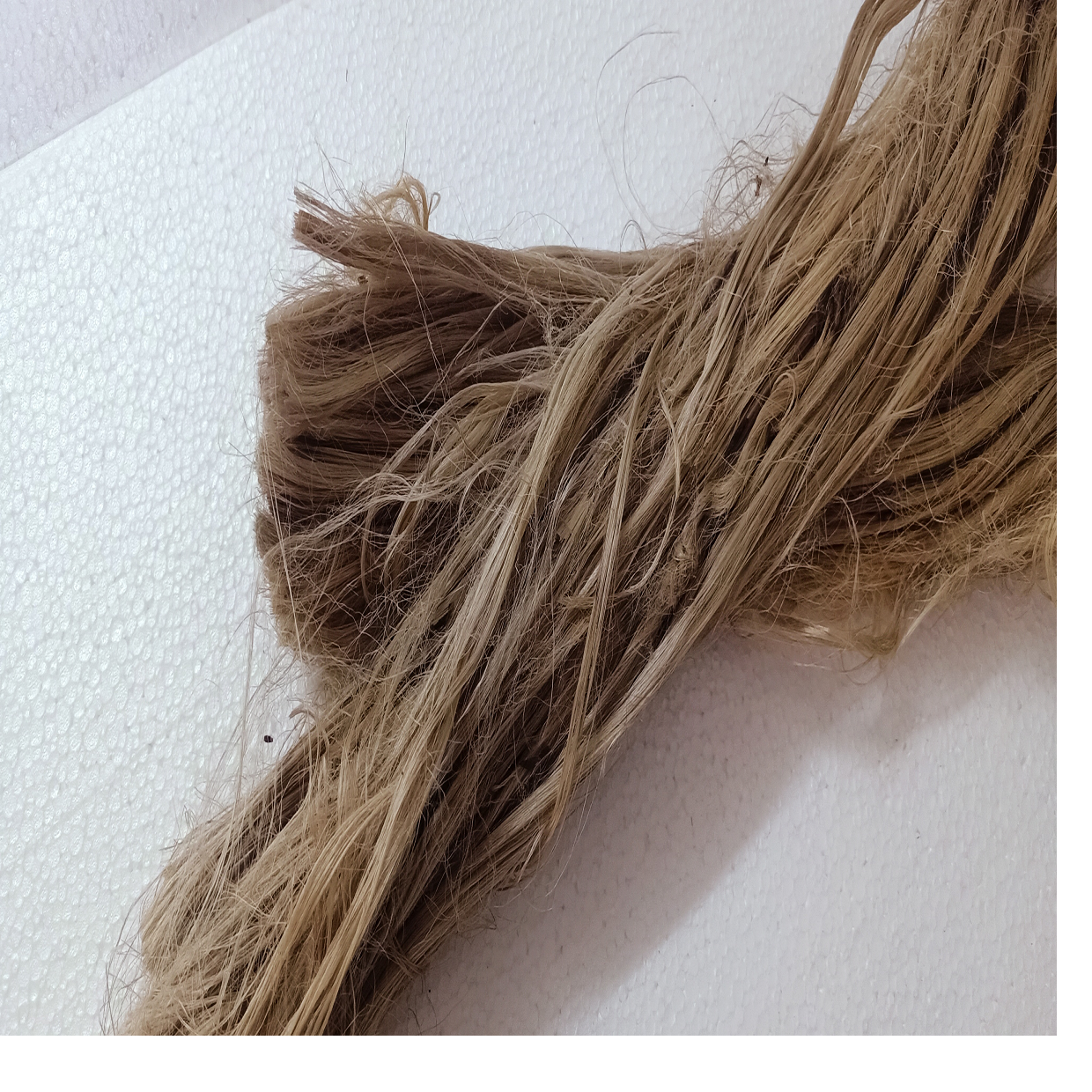 Raw Lotus Fiber